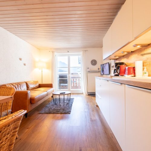 Wohnbereich in braun in Ferienwohnung in Garmisch-Partenkirchen