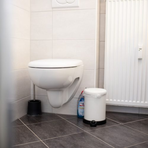 Toilette im Badezimmer in Ferienwohnung in Garmisch-Partenkirchen