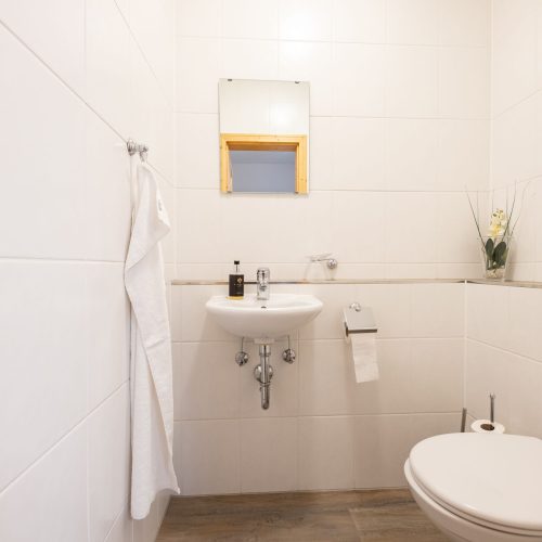 Badezimmer mit einer Toilette und einem Waschbecken in Ferienwohnung in Garmisch-Partenkirchen