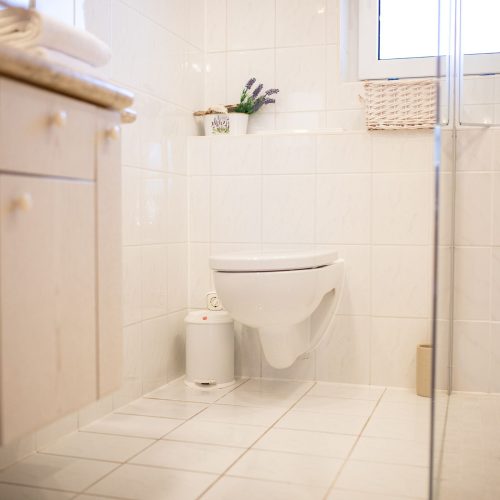 Badezimmer mit Dusche und Toilette in Ferienwohnung in Garmisch-Partenkirchen