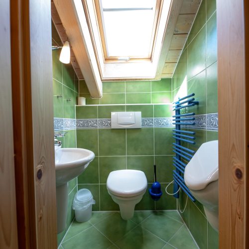 Altes Badezimmer in Ferienwohnung in Garmisch-Partenkirchen