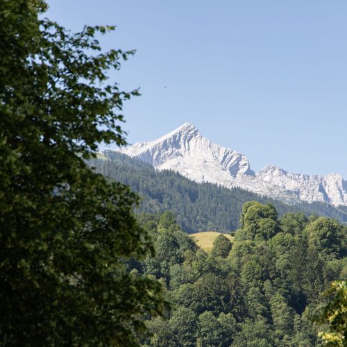 Die Zugspitze zwischen grünen Bäumen in Garmisch-Partenkirchen