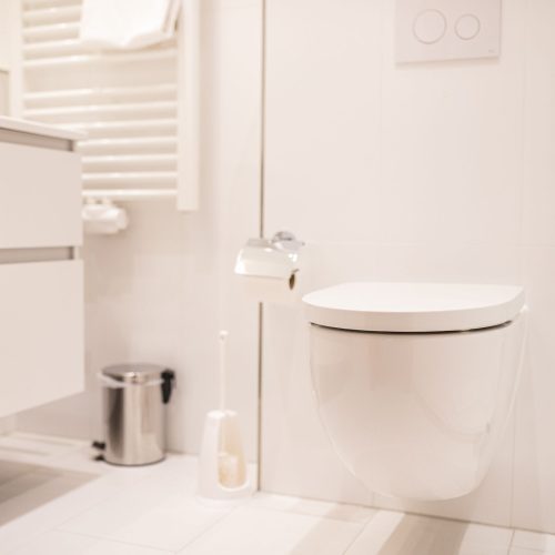 Bad mit Toilette in Ferienwohnung in Garmisch-Partenkirchen