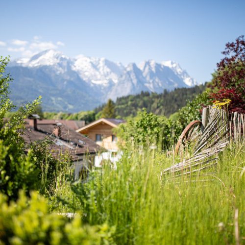 Blick auf die grüne Natur und die schneebedeckten Berge in Ferienwohnung in Garmisch-Partenkirchen