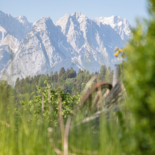 Sicht auf die Berge und die Natur in Ferienwohnung in Garmisch-Partenkirchen