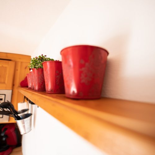 Blumentöpfe in der Küche in Ferienwohnung in Garmisch-Partenkirchen