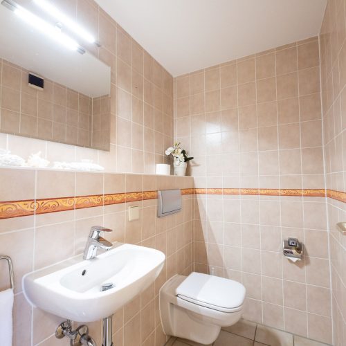 Badezimmer mit Toilette in Ferienwohnung in Garmisch-Partenkirchen