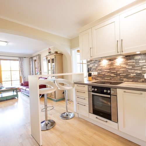 Küche mit Herdplatte in Ferienwohnung in Garmisch-Partenkirchen