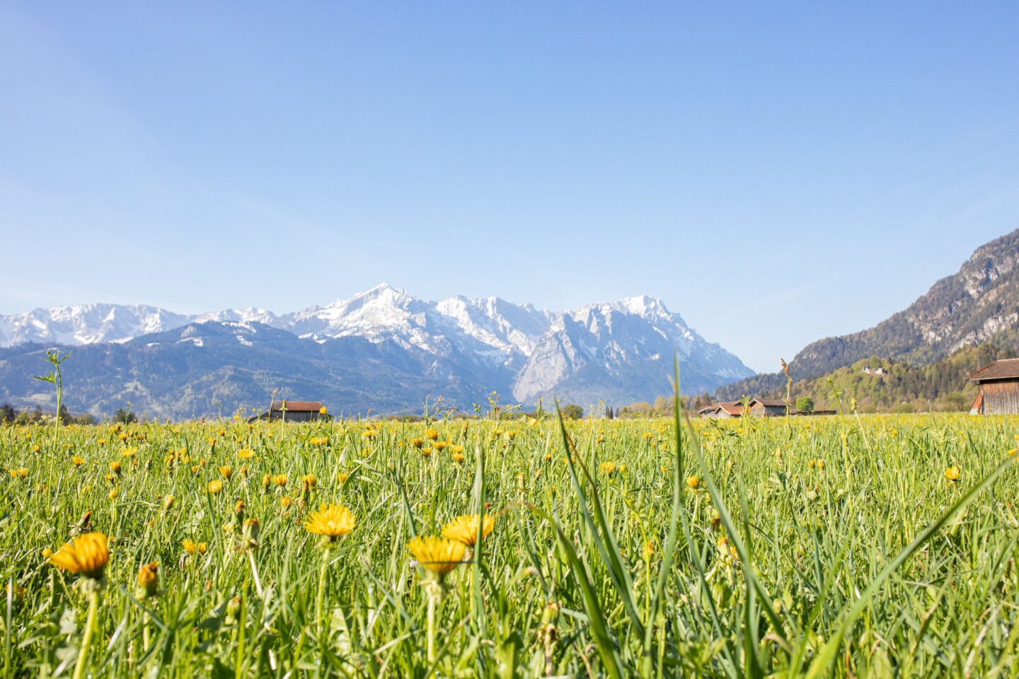 Wiese und Alpen in Ferienwohnung in Garmisch-Partenkirchen