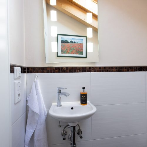 Waschbecken und Spiegel in Ferienwohnung in Garmisch-Partenkirchen