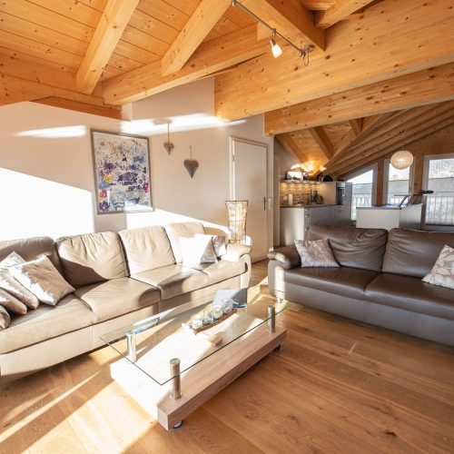 Sofas in braun in Ferienwohnung in Garmisch-Partenkirchen