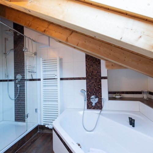 Dusche mit Badewanne in Ferienwohnung in Garmisch-Partenkirchen