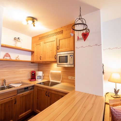 Küche mit Herdplatte in Ferienwohnung in Garmisch-Partenkirchen