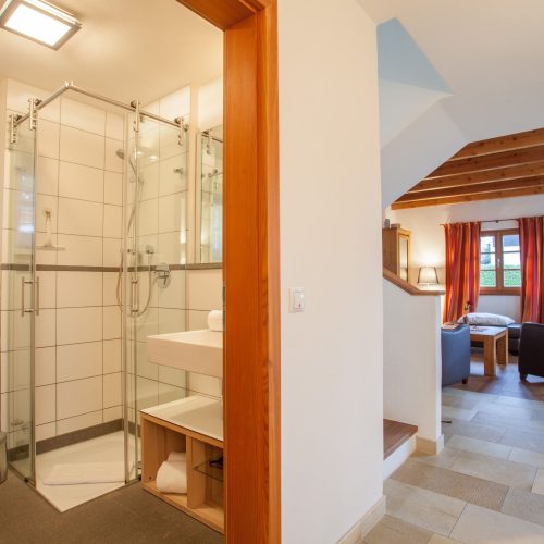 Badezimmer mit Dusche und Wohnzimmer in Ferienwohnung in Garmisch-Partenkirchen
