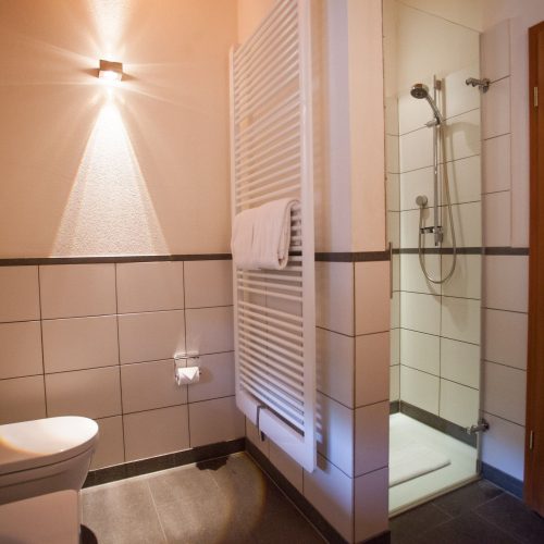 Badezimmer mit Dusche in Ferienwohnung in Garmisch-Partenkirchen