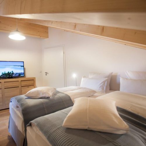 zwei Einzelbetten in Ferienwohnung in Garmisch-Partenkirchen