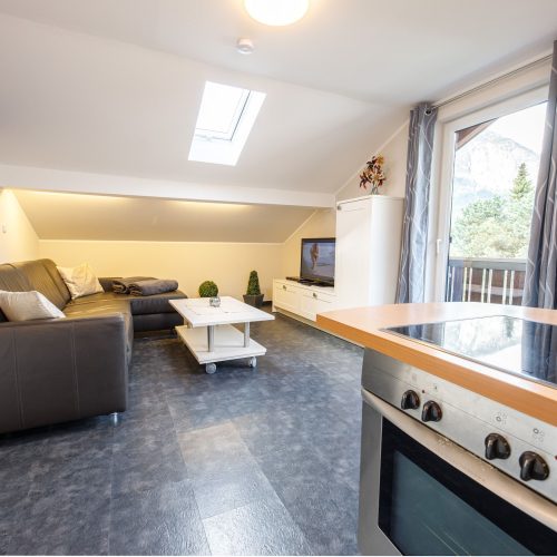 Wohnzimmer mit Fernseher und Dachfenster in Ferienwohnung in Garmisch-Partenkirchen