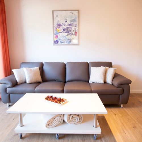 graues Sofa mit Kissen und einem Bild an der Wand in Ferienwohnung in Garmisch-Partenkirchen