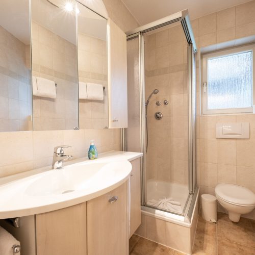 Dusche und Waschbecken mit Spiegel in Ferienwohnung in Garmisch-Partenkirchen