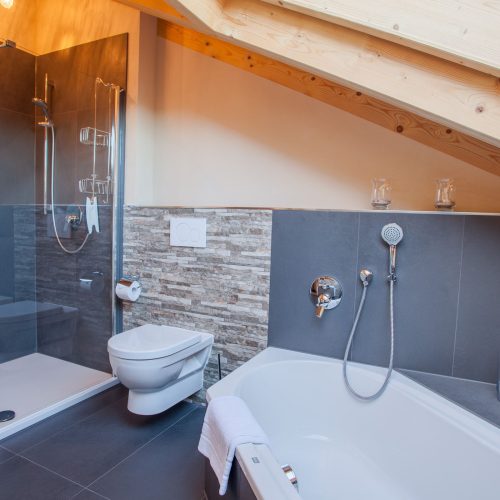 Badezimmer mit Dusche und Badewanne in Ferienwohnung in Garmisch-Partenkirchen