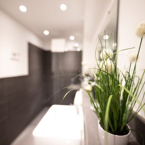 Badezimmer Dekoration mit Sträuchern in weißen Vasen in Ferienwohnung in Garmisch-Partenkirchen