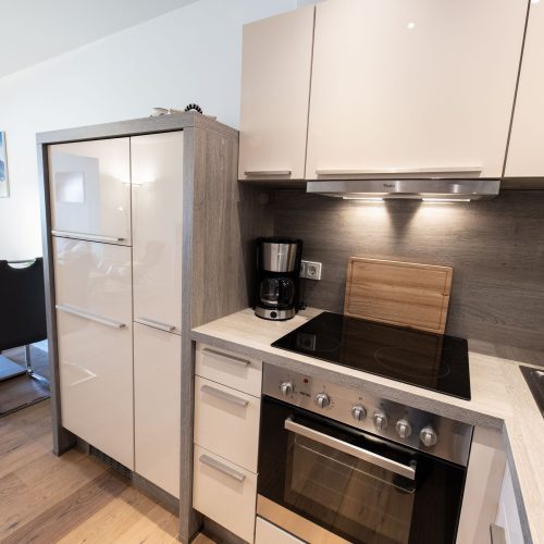 Küche mit Herd und Ofen in hellgrau in Ferienwohnung in Garmisch-Partenkirchen