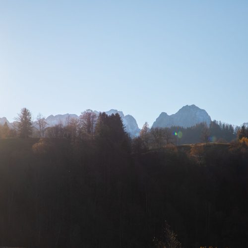 Aussicht auf Berge und Bäume in Ferienwohnung in Garmisch-Partenkirchen