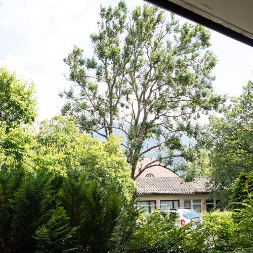 Ausblick in Ferienwohnung in Garmisch-Partenkirchen
