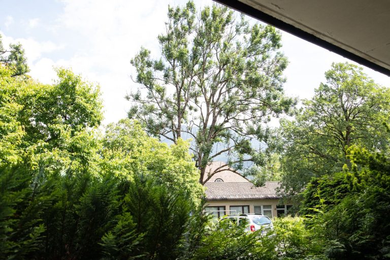 Ausblick in Ferienwohnung in Garmisch-Partenkirchen
