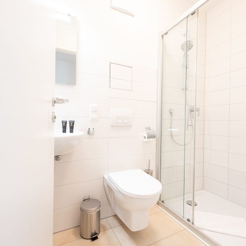 Badezimmer mit einer Dusche in Ferienwohnung in Garmisch-Partenkirchen