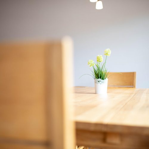 Pflanze auf Esstisch im Fokus in Ferienwohnung in Garmisch-Partenkirchen