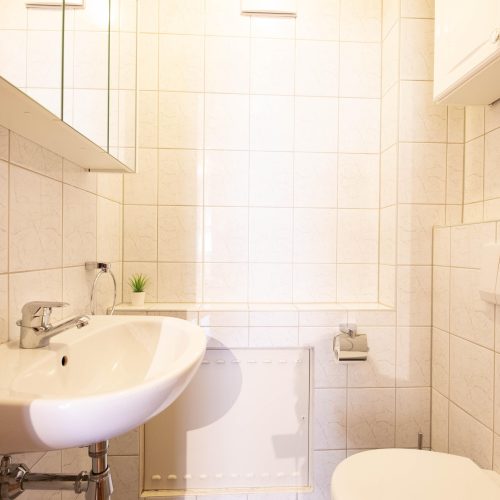 Kleines Badezimmer mit Waschbecken und Toilette in Ferienwohnung in Garmisch-Partenkirchen