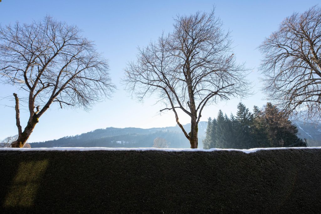 Naturaussicht  in Ferienwohnung in Garmisch-Partenkirchen