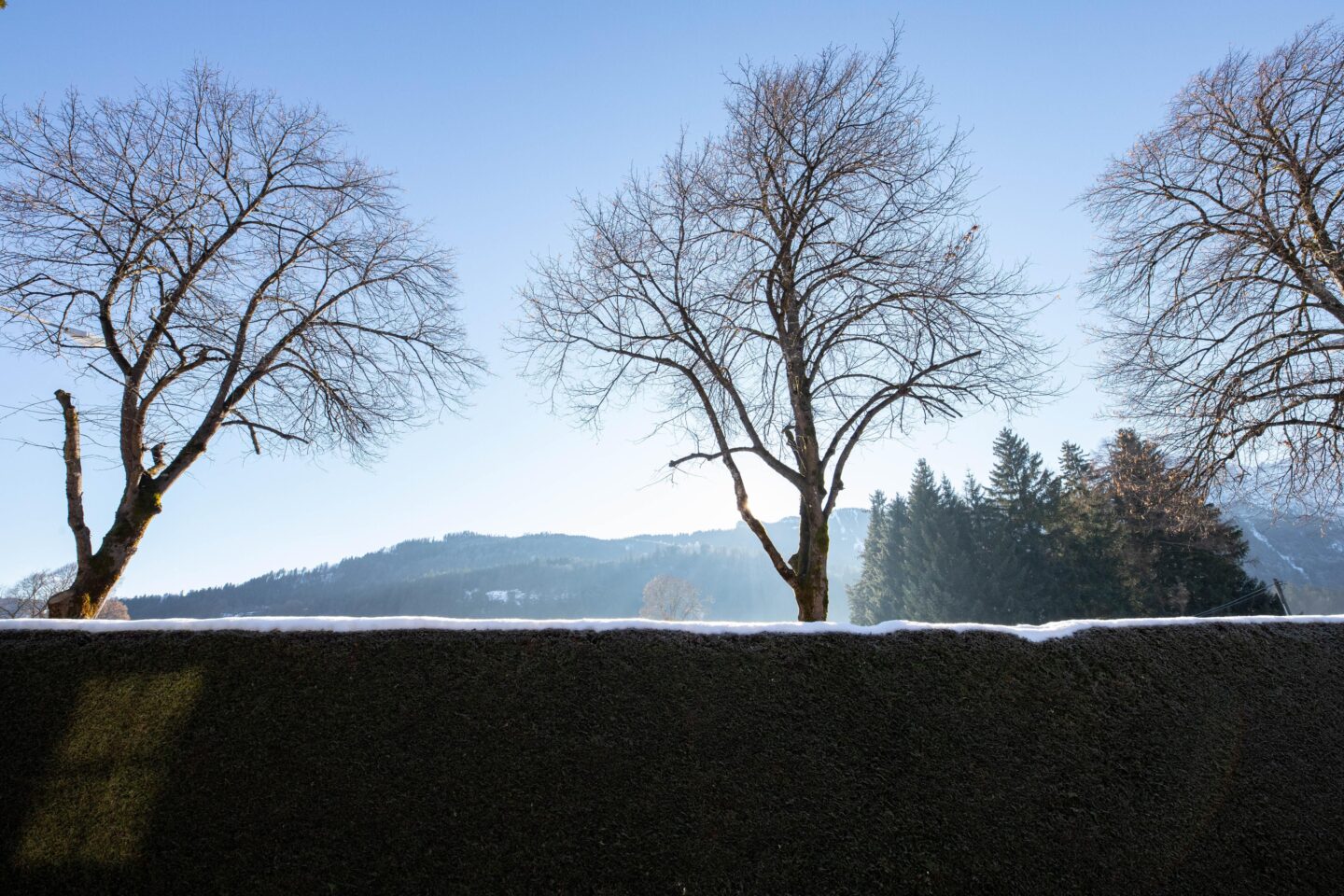 Naturaussicht in Ferienwohnung in Garmisch-Partenkirchen