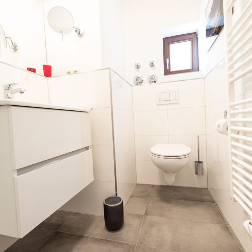 Toilette mit Waschbecken in Ferienwohnung in Garmisch-Partenkirchen