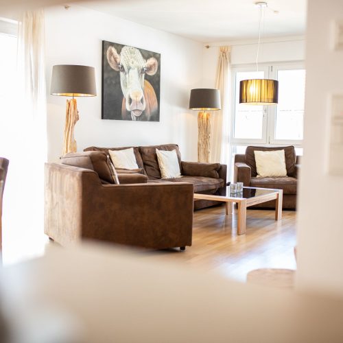 Kuhbild im Wohnbereich mit braunen Sofa und Sessel