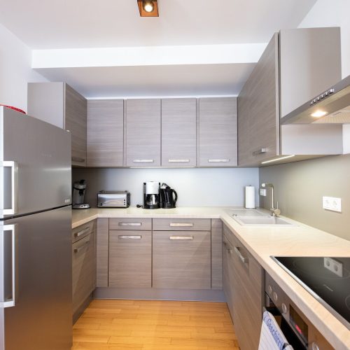 Kühlschrank in moderner Küche in Ferienwohnung in Garmisch-Patenkirchen